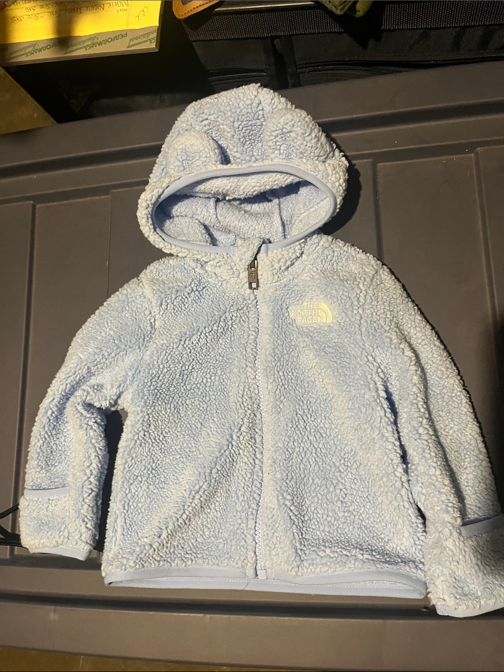 The North Face Light Blue Kids Sherpa Zip Hoodie